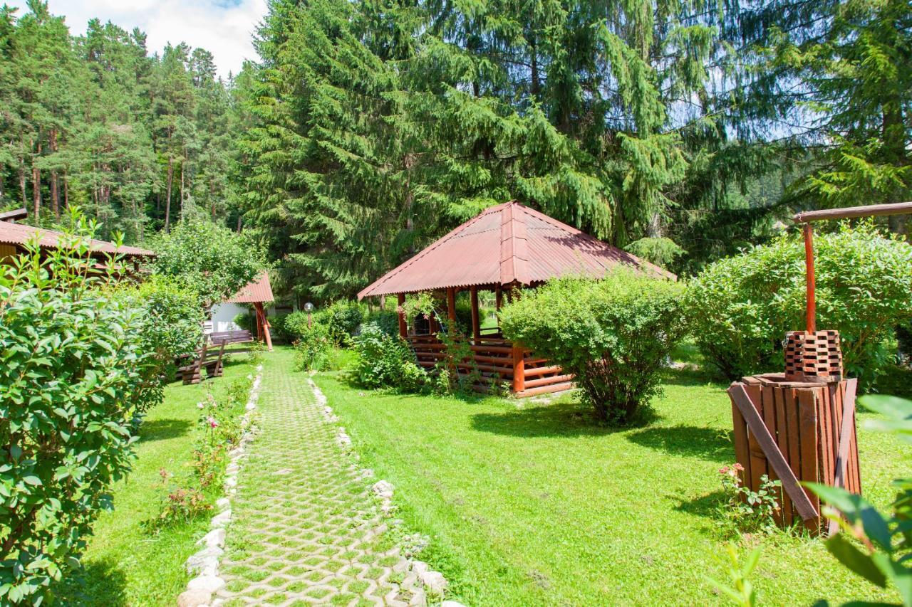 Hostel Alex - Complex Dumbrava Minunata คัมพูลุง โมลโดเวเนสค์ ภายนอก รูปภาพ